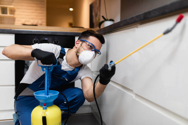 Pest Prevention Services in Belton, TX