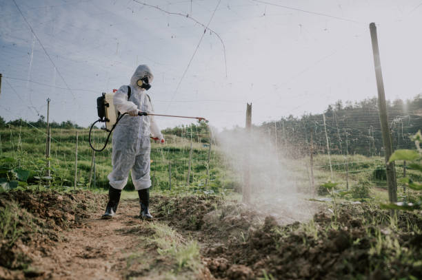 Pest Control Cost in Belton, TX