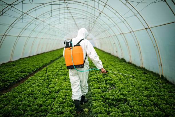 Best Pest Control Near Me  in Belton, TX