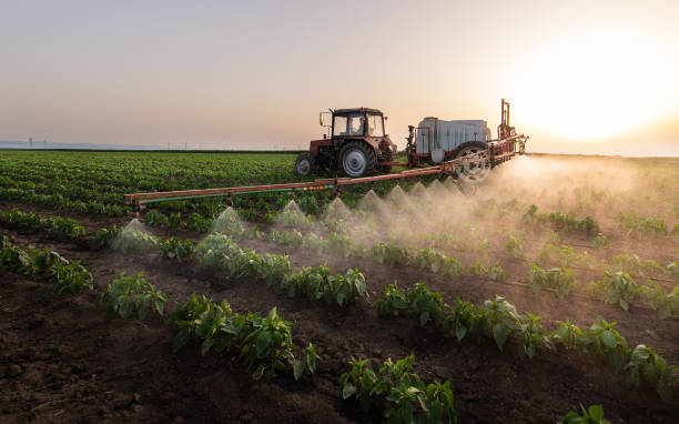 Best Pest Control Near Me in Belton, TX
