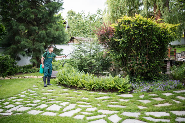 Best Best Pest Control Near Me  in Belton, TX