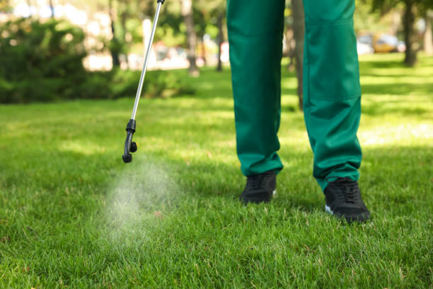 Trusted Belton, TX Pest Control Experts